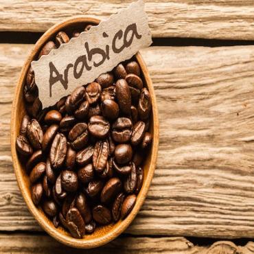 阿拉比卡咖啡